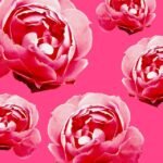 Herbal Essences Ignite My Colour Shampoo 400ml - Image 2