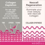 NeoCell Super Collagen Powder 6.6g Collagen Types 1 & 3 198g - Image 3