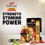 Dabur Shilajit Gold 20 Capsule Free Dabur Honey 100g - Image 2